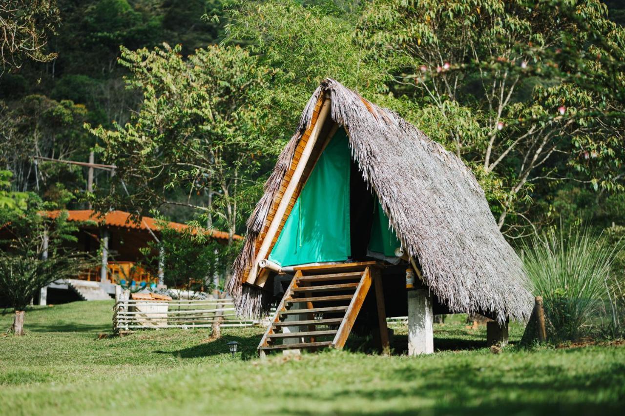 La Perla Negra - Black Pearl Eco Hostel San Rafael  Esterno foto