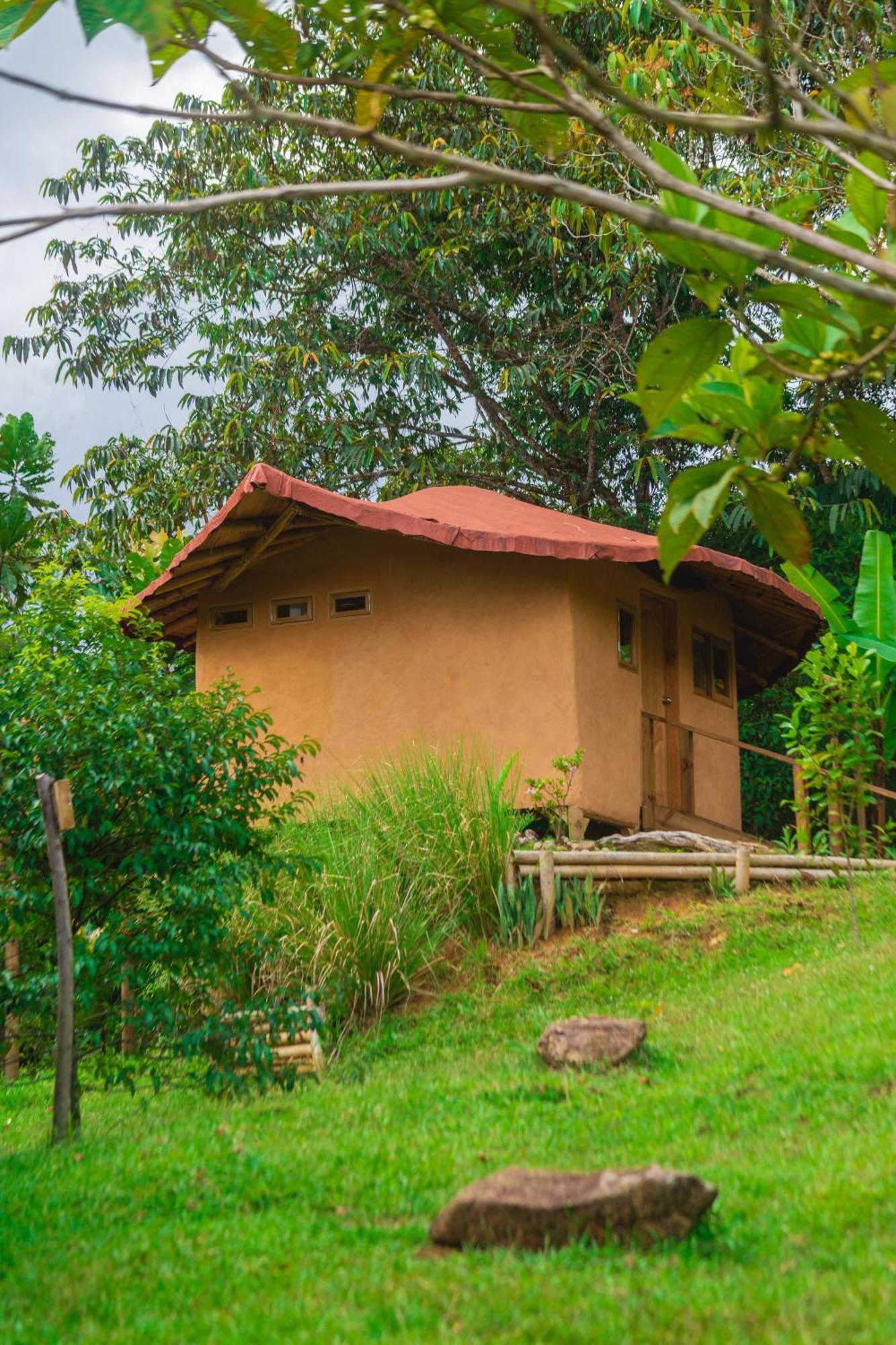 La Perla Negra - Black Pearl Eco Hostel San Rafael  Esterno foto